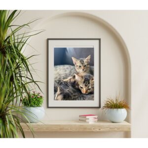 60" x 40" Poster Prints