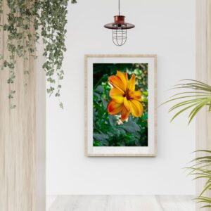 24" x 18" Poster Prints