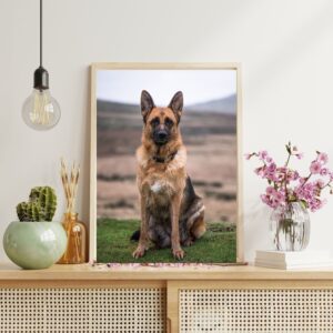 30" x 20" Poster Prints